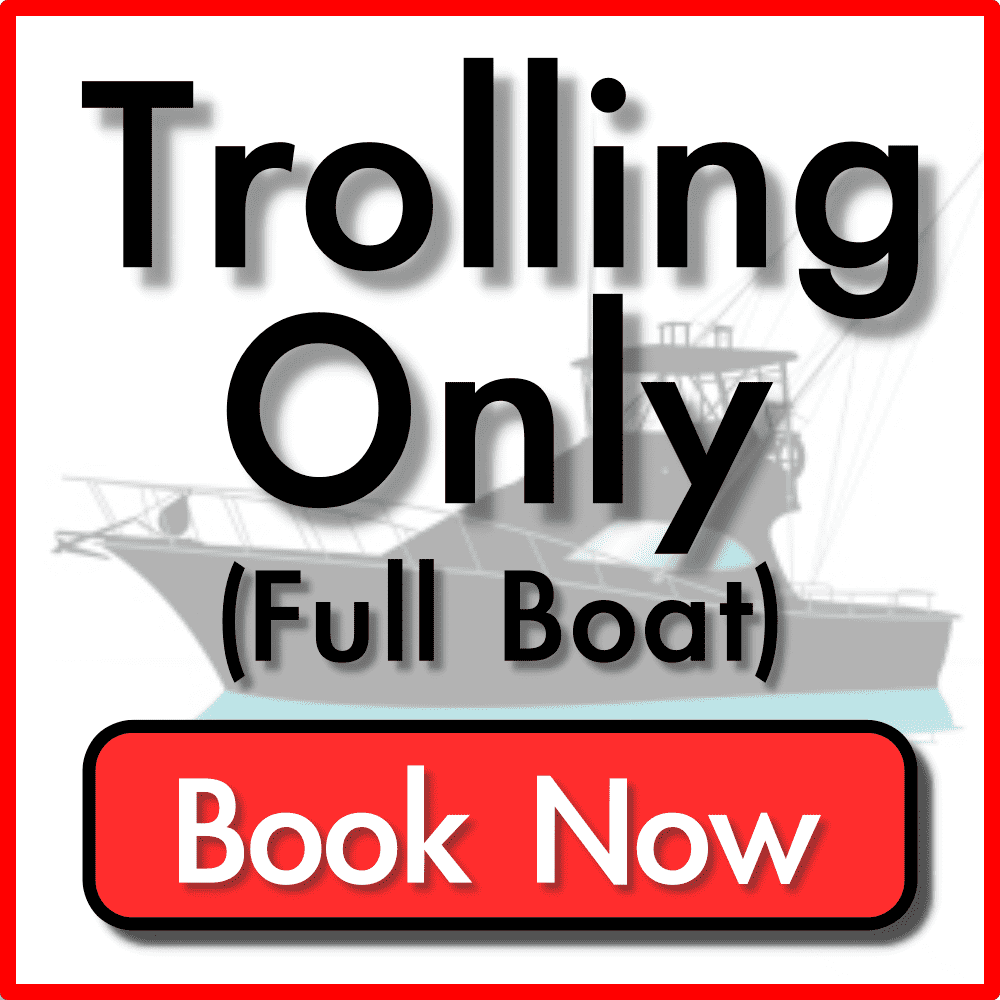 Trolling Only Full Boat | Okinawa Fishing Charters - LegaSea Fishing