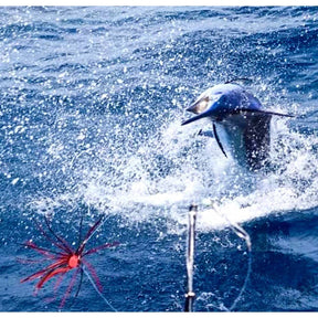 S5 Beluga | LegaSea Fishing Okinawa