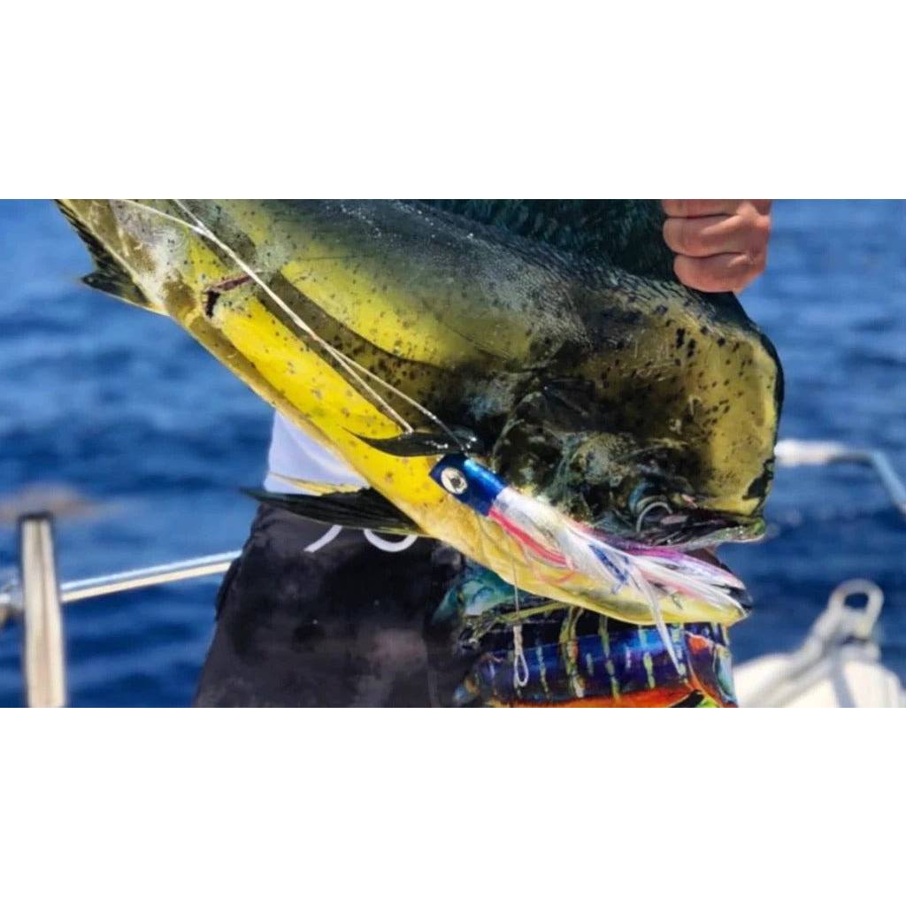 S2 Beluga | LegaSea Fishing Okinawa